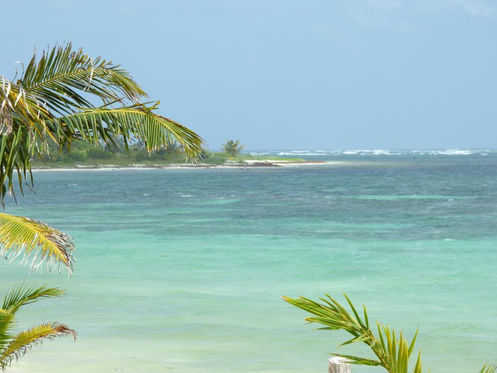 Mayan Beach Garden El Placer Esterno foto