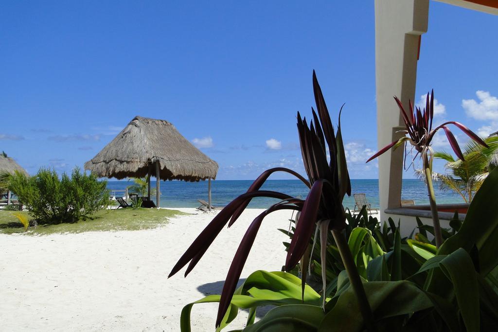 Mayan Beach Garden El Placer Esterno foto