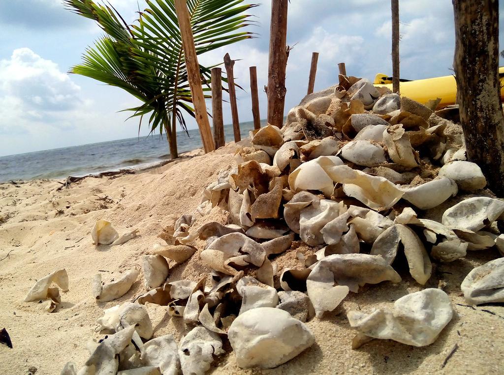 Mayan Beach Garden El Placer Esterno foto